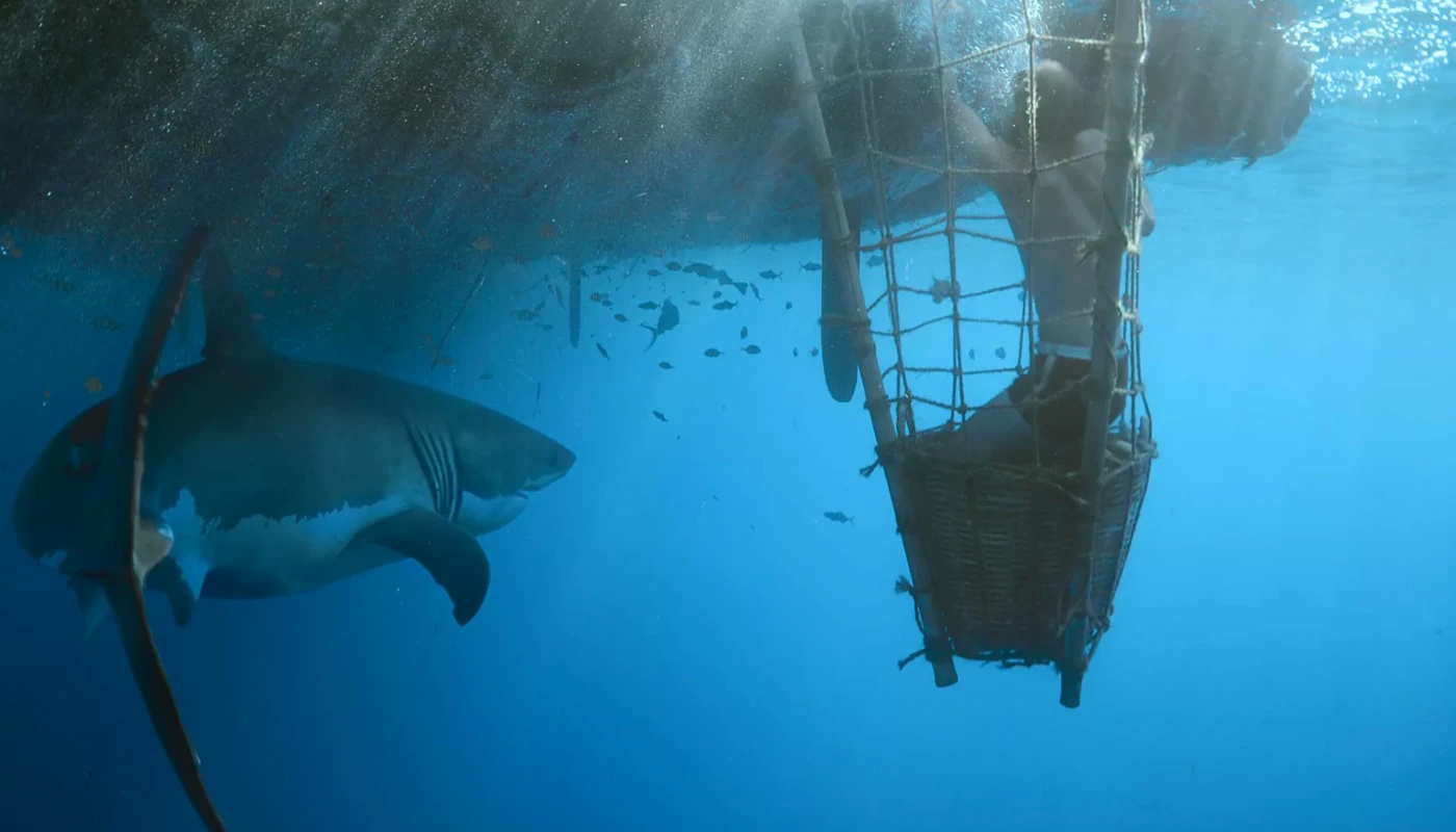 Кон Тики» (Kon Tiki, 2012)