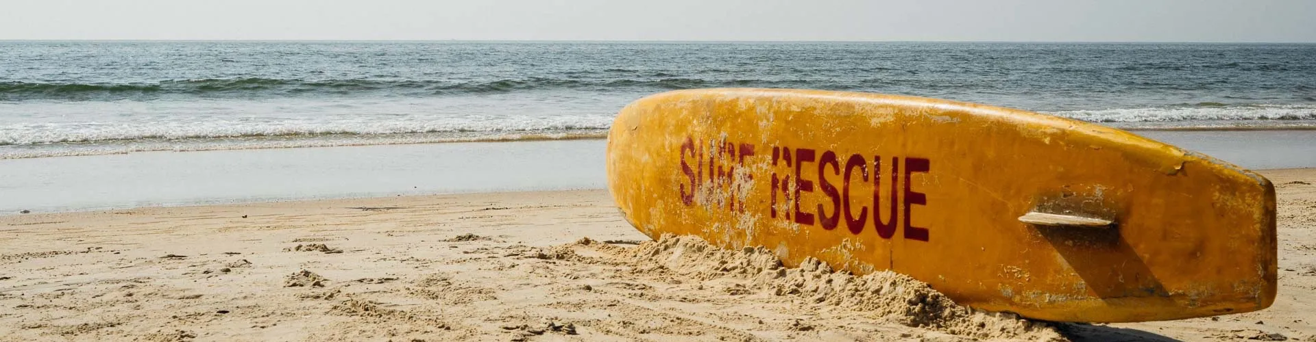 Прокат и аренда сапбордов в Минске